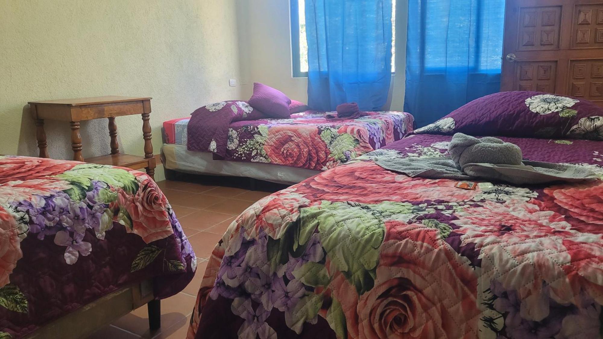 Hostal Sweet Dreams ปานาคาเชล ภายนอก รูปภาพ
