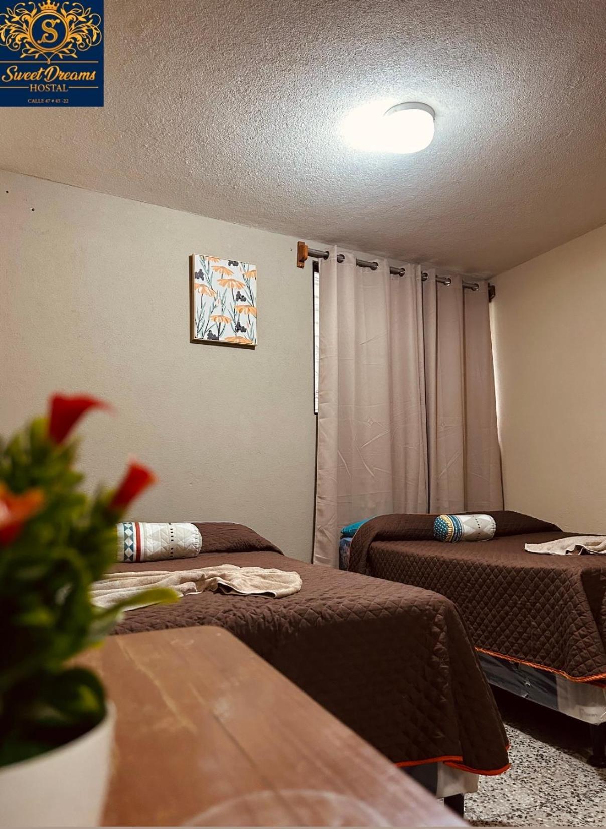Hostal Sweet Dreams ปานาคาเชล ภายนอก รูปภาพ